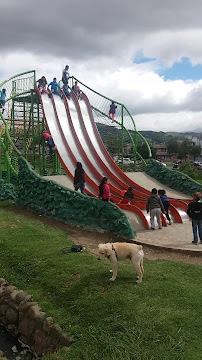 Productos lácteos VAS'q