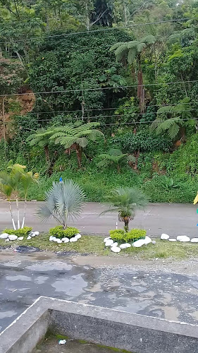 Restaurante Paradero Doña Susi - Gastronomía y hostelería