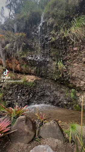 Opinii despre El Salado Quillosisa în Nabón - Gastronomía y hostelería