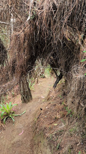 Comentarii opinii despre El Salado Quillosisa