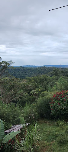 Restaurante Paradero Doña Susi - Osayacu