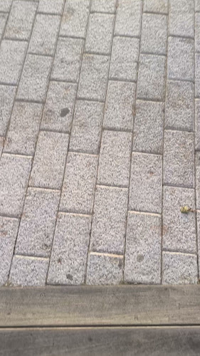 Opinii despre La Barca - Salou în Salou - Gastronomía y hostelería