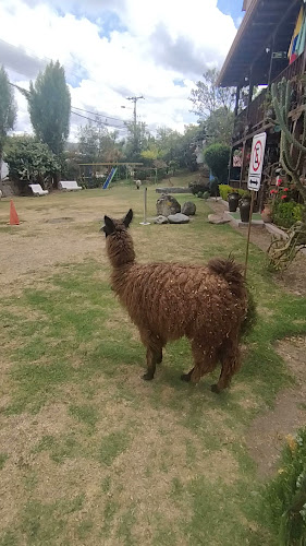 C. Pueblo de los Quitus, Cuenca 010109