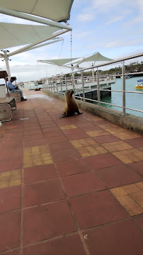 Mercado Municipal - Puerto Ayora