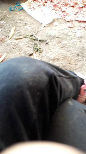 Comentarii opinii despre Mercado Pequeño Productor Pitas II