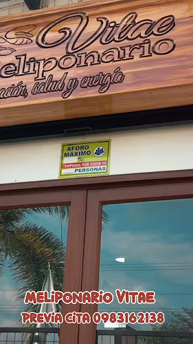 Meliponario Vitae
