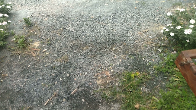 Comentarii opinii despre Paradero - The Buffalo