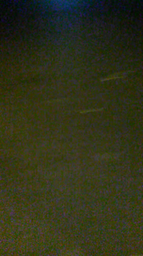 Mercado Gran Colombia - Gastronomía y hostelería