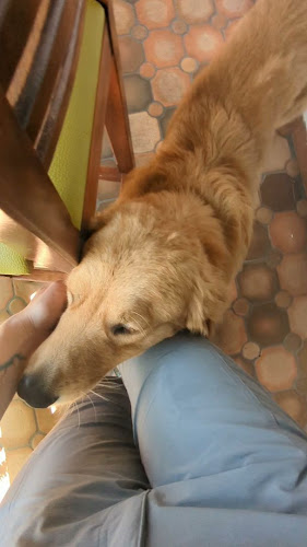 Restaurante Pancho Villa