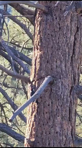 Opinii despre Mercado San Jose de Chimbo în San José de Chimbo - Gastronomía y hostelería