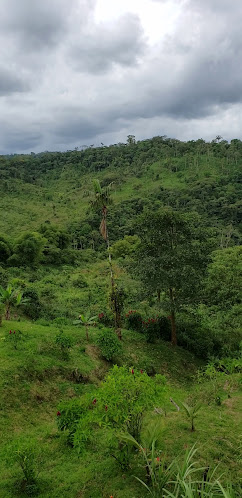 Comentarii opinii despre Restaurante Paradero Doña Susi