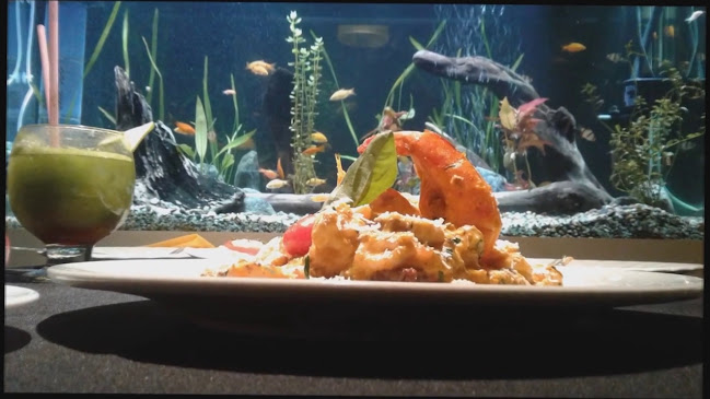 Settimo Mare - Quito