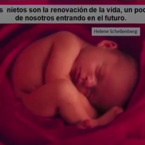 Atelier 8, Bellini I, Edificio, Guayaquil 090514