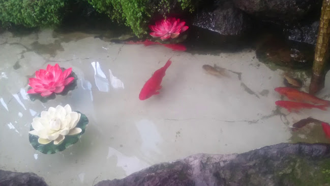 Mister Crab - Ambato