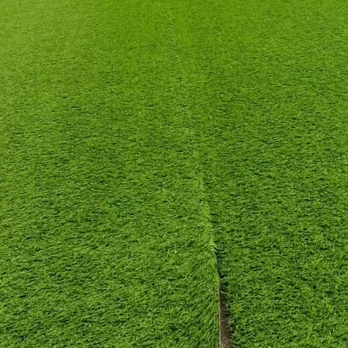 Opinii despre Mercado La FERIA de ropa în Santo Domingo - Gastronomía y hostelería