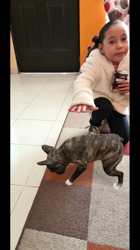 Comentarii opinii despre En Algún lugar del mundo