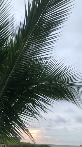 Opinii despre Cábaña Macareo în Ballenita - Gastronomía y hostelería