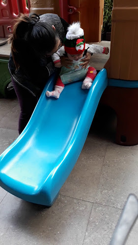 Heladeria "Pinguino Gourmet"