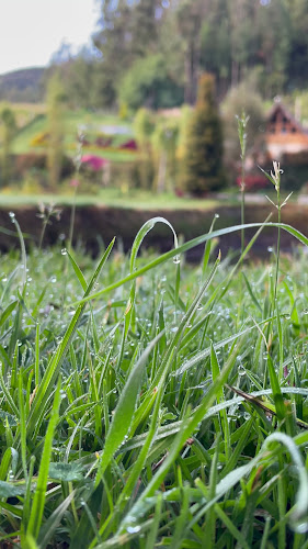 El Salado Quillosisa - Nabón