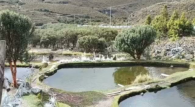 Opinii despre Rancho Hnos Prado în Cuenca - Gastronomía y hostelería