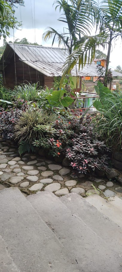 SALOYA FROGS (hospedaje)