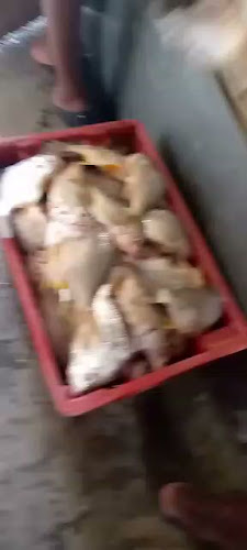 Comentarii opinii despre Yahuarcocha, Tilapias Al Horno, Caldos De Gallina