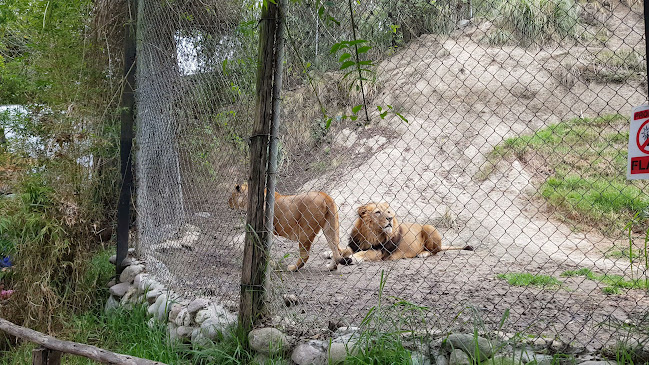 Opinii despre Tiro Fijo - La Carreta în Gualaceo - Gastronomía y hostelería