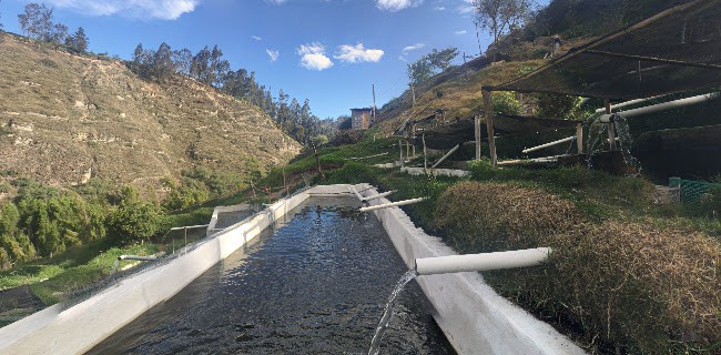 Asadero de truchas criollito