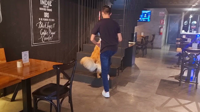 Golden Prague Pub - Urdesa - Gastronomía y hostelería