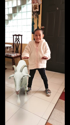 Opinii despre En Algún lugar del mundo în Portoviejo - Gastronomía y hostelería