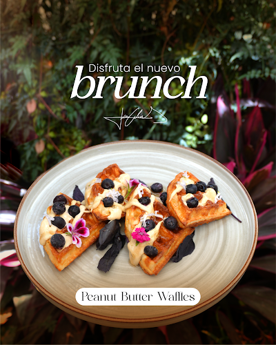 Páramo Biergarten - Santa Rosa