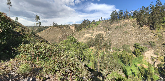 Asadero de truchas criollito - Gastronomía y hostelería