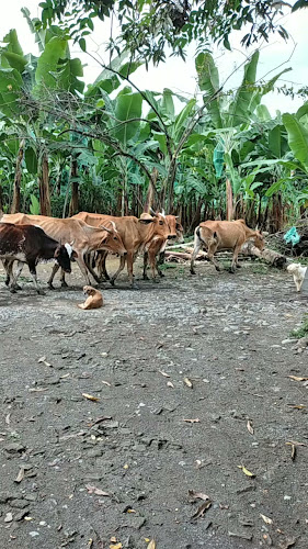Terminal de Azogues - Gastronomía y hostelería