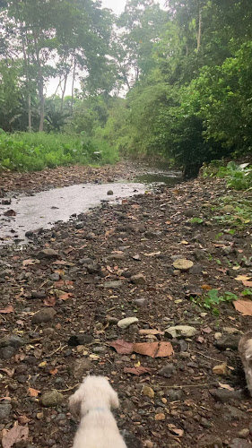 Opinii despre RESTAURANTE, PIZZAS y CAFÉ ESCONDITE Jama Tabuga în Santa Lucía - Gastronomía y hostelería