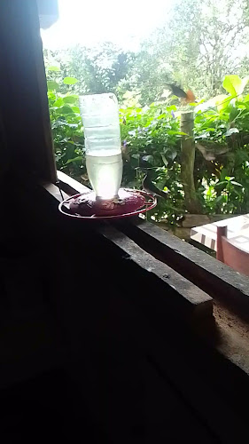 Resturant Los Bancos - San Miguel de Los Bancos