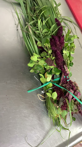 Av. Cristóbal Colón E4-186 y, Quito 170524