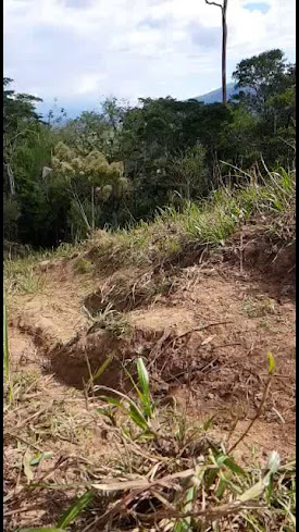 Opinii despre Mercado 1ro de Mayo în Sucúa - Gastronomía y hostelería