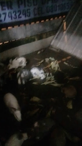 Opinii despre Panadería Lizbeth în Santo Domingo - Gastronomía y hostelería