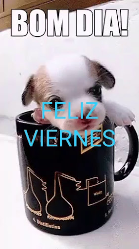 Mercado 1ro de Mayo - Sucúa