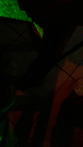 Opinii despre Night Club Pasiones în Vuelta Larga - Gastronomía y hostelería