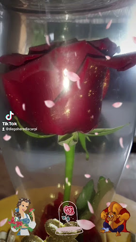 Opinii despre PANNADERIA CHIKI SOPHI în Milagro - Gastronomía y hostelería