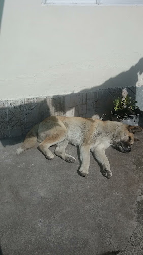 PIZZERÍA MONREAL - Gastronomía y hostelería