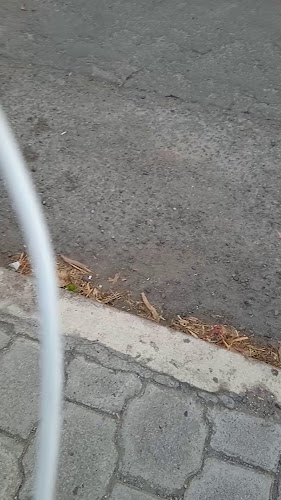 Pizzeria Los Reventaditos - Puembo