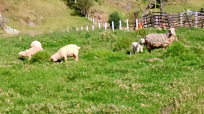 El Salado Quillosisa - Gastronomía y hostelería