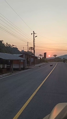 Opinii despre DULCE PARADA în San Miguel de Los Bancos - Gastronomía y hostelería