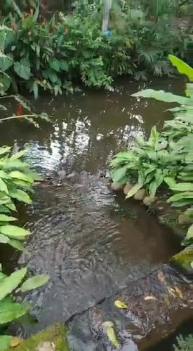 El Jardín Restaurante - Misahuallí