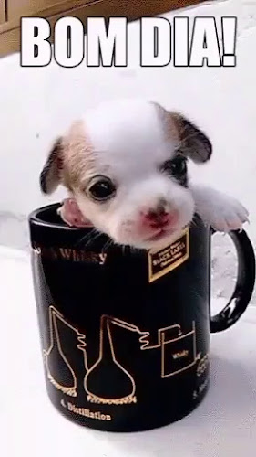 D' Andre Pizzería - Riobamba