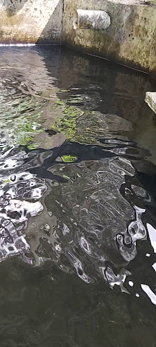 8W65+CV5, Provincia de, Ibarra