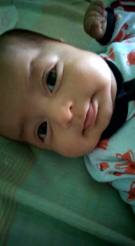 Comentarii opinii despre Panaderia Principal