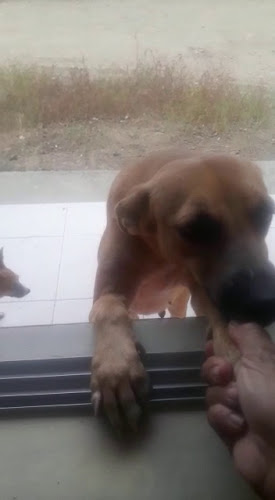 DONDE MAGNY - Gastronomía y hostelería